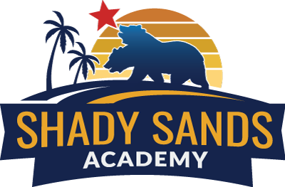 Shady Sands Driving Academy LLC Logo